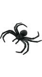 Halloween Spinnen Deco
