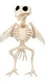 Halloween Vogelskelet Decoratie