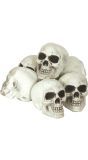 Halloween Witte Schedel set 6 Stuks 8cm
