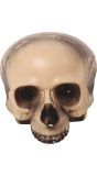 Halve Doodskop Decoratie