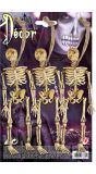 Hangende Skelet Decoratie set 3 Stuks