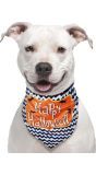 Happy Halloween Hond Bandana
