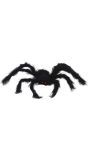 Harige Vogelspin Halloween Zwart