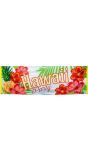 Hawaii Thema Party Banner