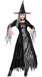 Heks Spinnenweb Kostuum