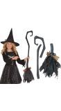 Heksenbezem Halloween Kinderen