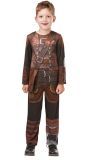 Hoe Tem Je Een Draak Kostuum Viking Hiccup Kinderen