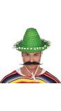 Hoge Mexicaanse Strohoed Groen