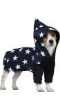Hond Tovenaar Kostuum