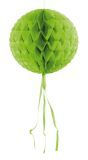 Honingraat Bol Versiering Lichtgroen 30cm