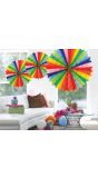 Honingraat Waaier Versiering Regenboog 45cm