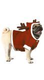 Kerst Rendier Kostuum Hond