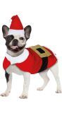 Kerstman Kostuum Hond