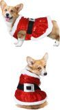 Kerstman Kostuum Pailletten Hond