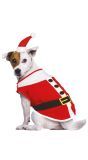 Kerstman Mini Hoedje Kostuum Hond