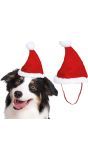 Kerstmuts voor Huisdieren