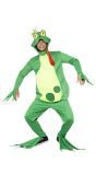 Kikker Kostuum