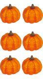 Kleine Pompoenen Halloween 6 Stuks