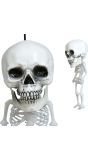 Kleine Skelet Hang Decoratie