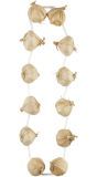 Knoflookbollen Ketting