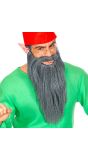 Lange Grijze Baard met Snor