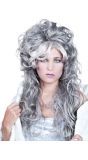 Lange Grijze Pruik Dames