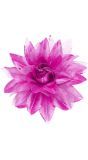 Lichtpaarse Bloem Haarclip