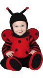 Lieveheersbeestje Kostuum Baby