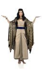 Luxe Gouden Cleopatra Kostuum
