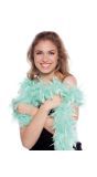 Luxe Veren Boa 180cm Mint Groen