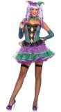 Mardi Gras Sweetie Kostuum