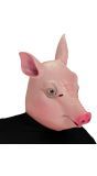 Masker Varken