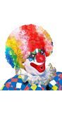 Meerkleurige Clowns Pruik met Krullen