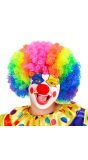 Meerkleurige Clownspruik