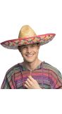Mexico Sombrero Carnaval Heren