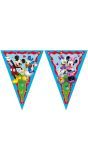 Mickey Mouse Kinderfeestje Vlaggenlijn