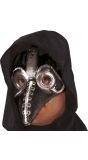 Middeleeuwse Pestdokter Masker