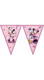 Minnie Mouse Kinderfeestje Vlaggenlijn