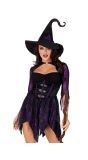 Mystical Witch Paarse Heks Jurkje Dames