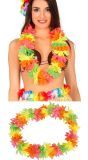 Neon Gekleurde Hawaii Ketting