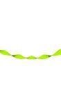 Neon Groene Crepe Papier Slinger 18 Meter