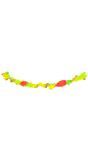 Neon Regenboog Crepe Papier Slinger 6 Meter