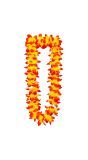 Oranje Hawaii Bloemenketting
