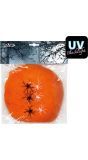 Oranje Spinrag met 6 Spinnen