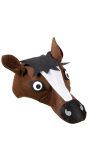Paard Feesthoed Kind
