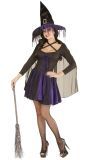 Paars Kostuum Heks