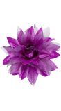 Paarse Bloem Haarclip