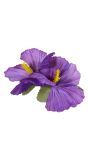 Paarse Bloemen Haarclip