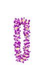 Paarse Hawaii Bloemenketting