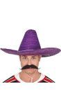 Paarse Mexicaanse Sombrero Hoed